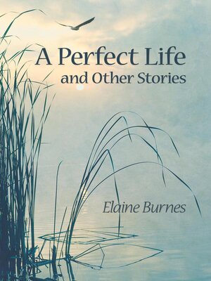 cover image of A Perfect Life and Other Stories